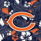 NFL Chicago Bears Tropical Print Moto E5 Play Skin